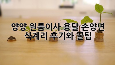 양양 원룸이사 용달, 손양면 석계리 후기와 꿀팁!